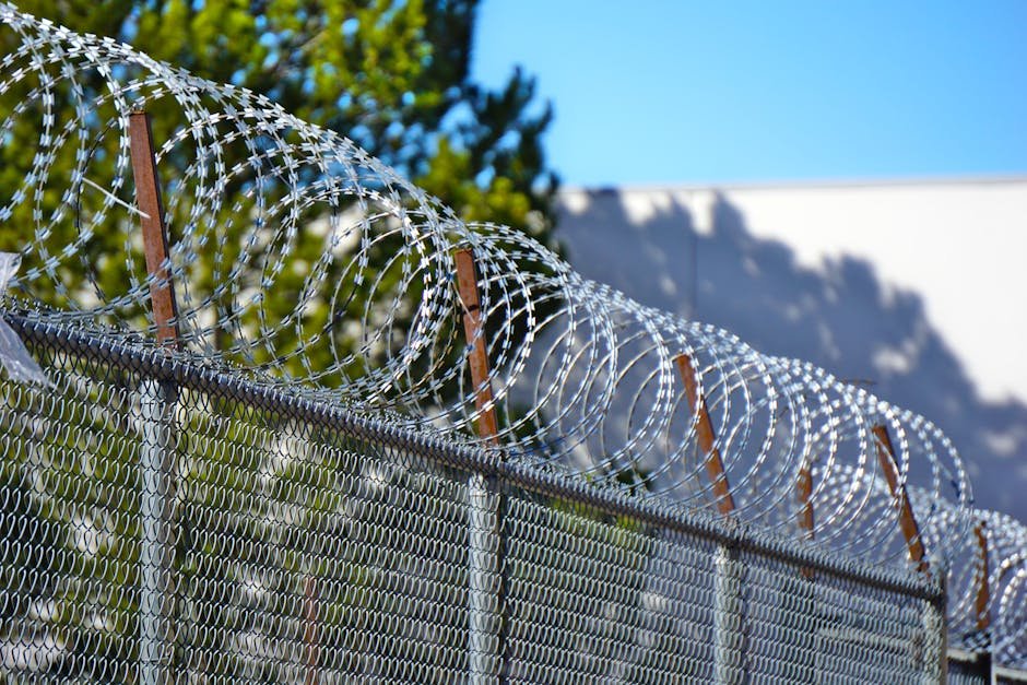 Stock photo via Pexels