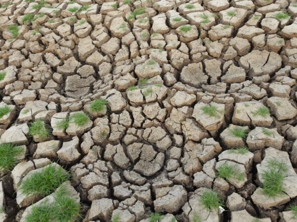 বরেন্দ্র অঞ্চলে তীব্র পানি সংকট